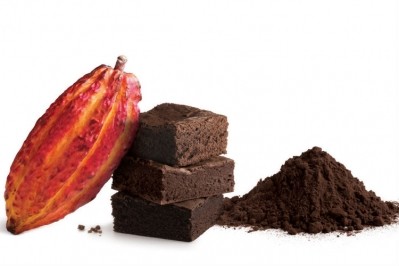 本斯多普的100%天然黑可可粉。圖片:Barry Callebaut