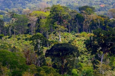 巴西的熱帶雨林已經被砍伐，但它是COP26的簽署國之一，到2030年結束森林砍伐。圖片:WCF