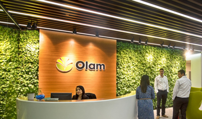 奧蘭國際(Olam International)在其最新的財報電話會議中稱，“今年的可可生意非常紅火”