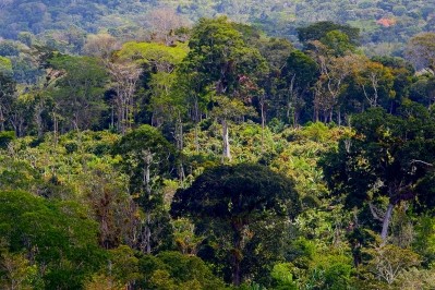 巴西是主要可可種植國之一，將受到歐盟新森林砍伐規定的影響。圖片:WCF＂></span><span class=