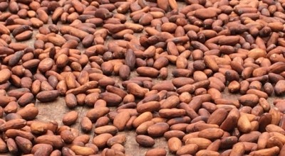 好時和其他巧克力公司說他們支持蓋子溢價幫助農民獲得更多的錢為他們的bean。圖片:ConfectioneryNews”></span><span class=