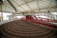 百樂嘉利寶在厄瓜多爾的新可可豆加工設施。圖片:Barry Callebaut