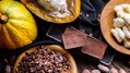 如何可持續巧克力在東南亞是不斷增長的需求推動改變行業的嗎